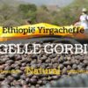 Ethiopie Negelle Yirgacheffe koffiebonen